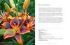 Lilies: Beautiful Varieties for Home & Garden Book