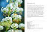 Lilies: Beautiful Varieties for Home & Garden Book