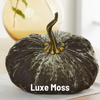 Pumpkin Extra Large Velvet, Fall Accent, Halloween, Tabletop