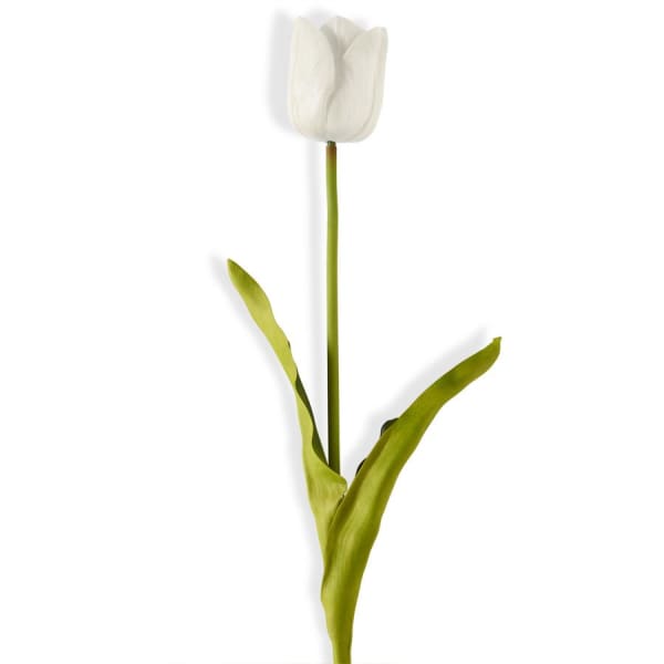Real Touch Tulip – Birdwell's