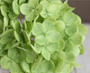 Real Touch Hydrangea Stem