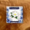 Magnolia Needle-Minder