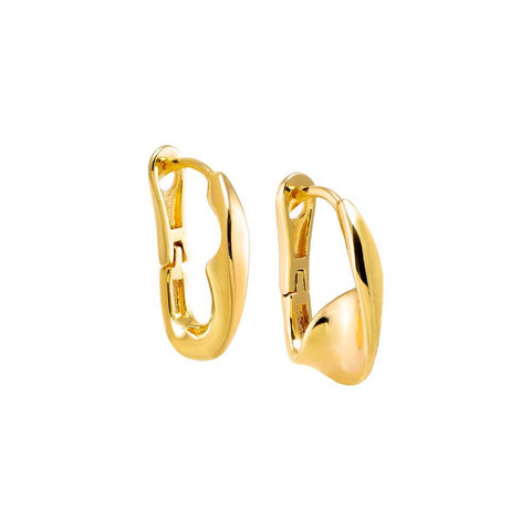 Solid Gold Hoop Earrings