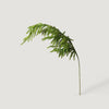 Real Touch Norfolk Pine Branch