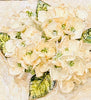 Hydrangea Clay Floral Bouquet Canvas Art