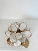 Oyster Shell Magnolia
