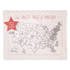 Color the USA Map Paper Placemat