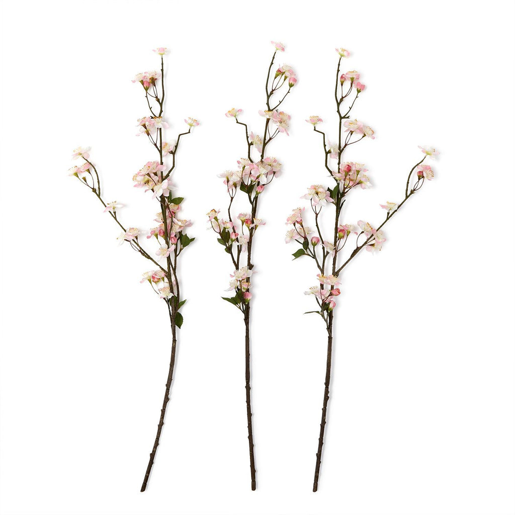 Cherry Blossom Branch