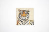 Tiger Travertine Coasters