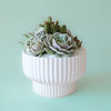 Presley Pedestal Pot | White