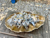 Oyster Wine Stopper