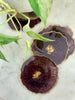 Butter & Gold Geode Resin Coaster Set