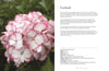 Hydrangeas: Beautiful Varieties for Home & Garden Book