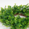 Boxwood Wreath 22 inch