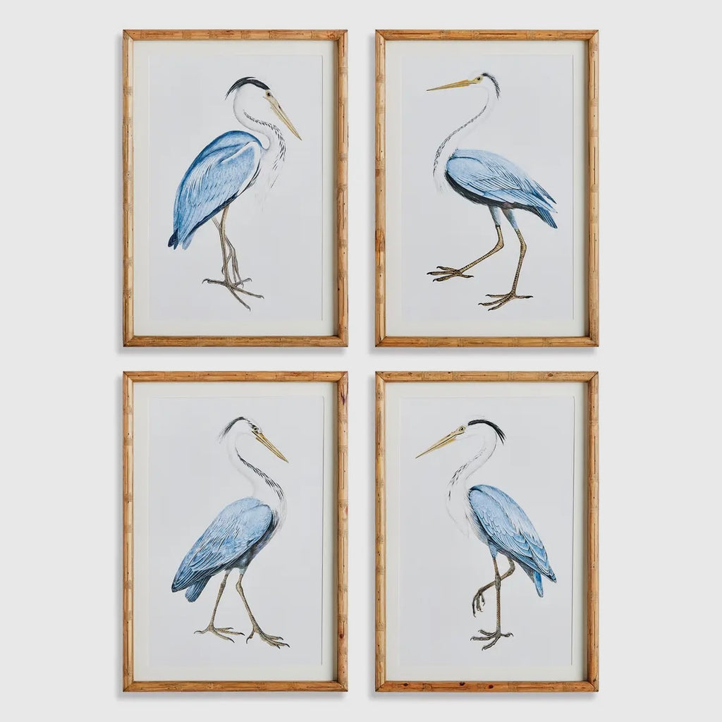 Blue Heron Framed Prints