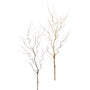 Gold & Silver Manzanita Stem