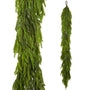 Norfolk Pine Garland