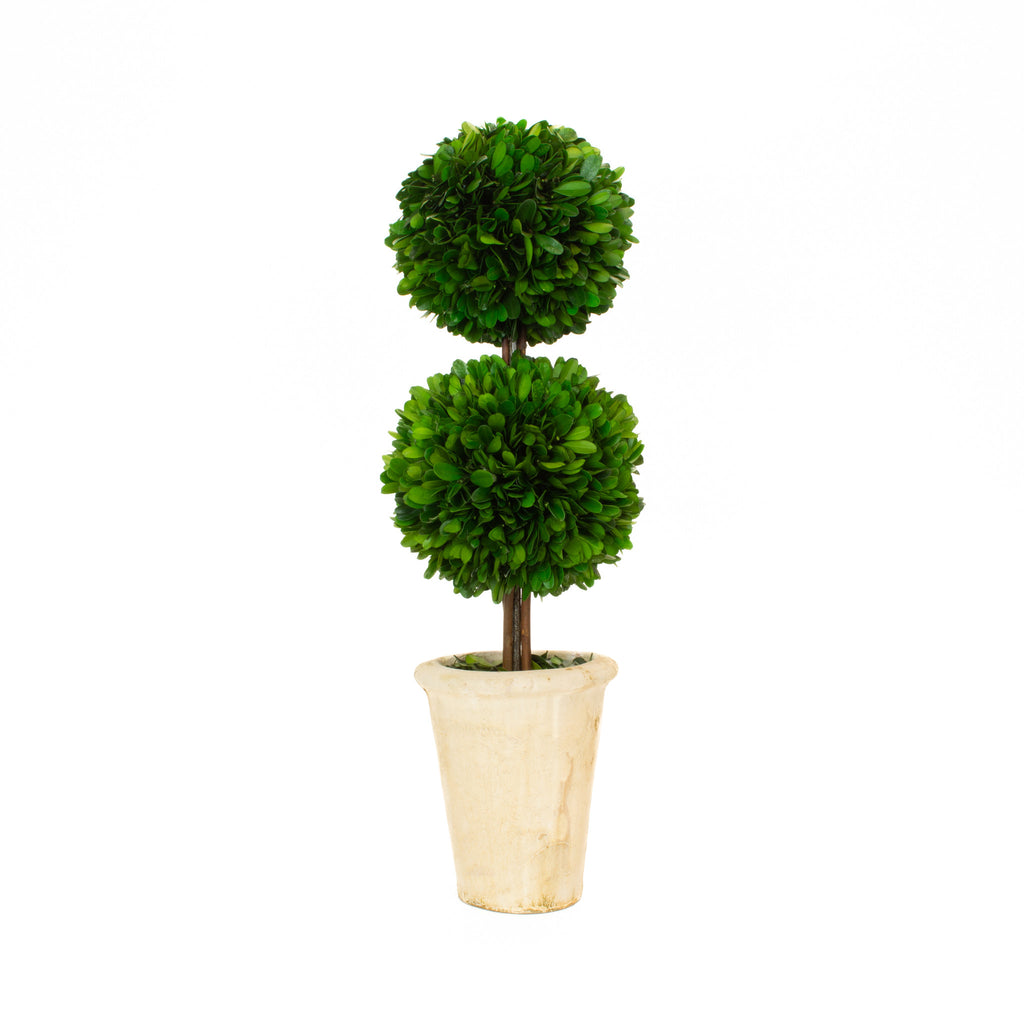 Double Ball Topiary