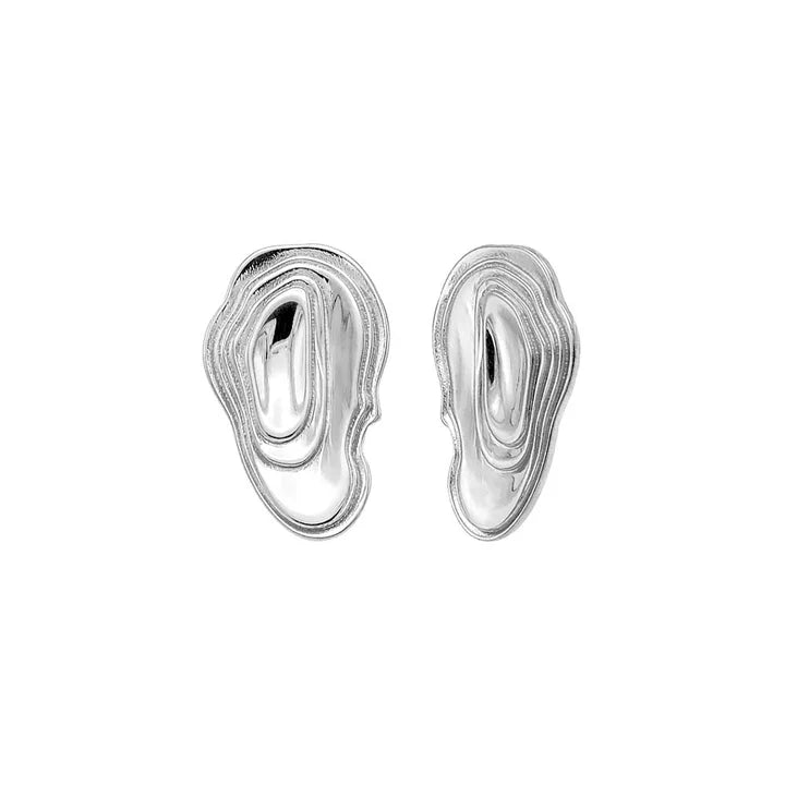 Silver Shaped Earrings