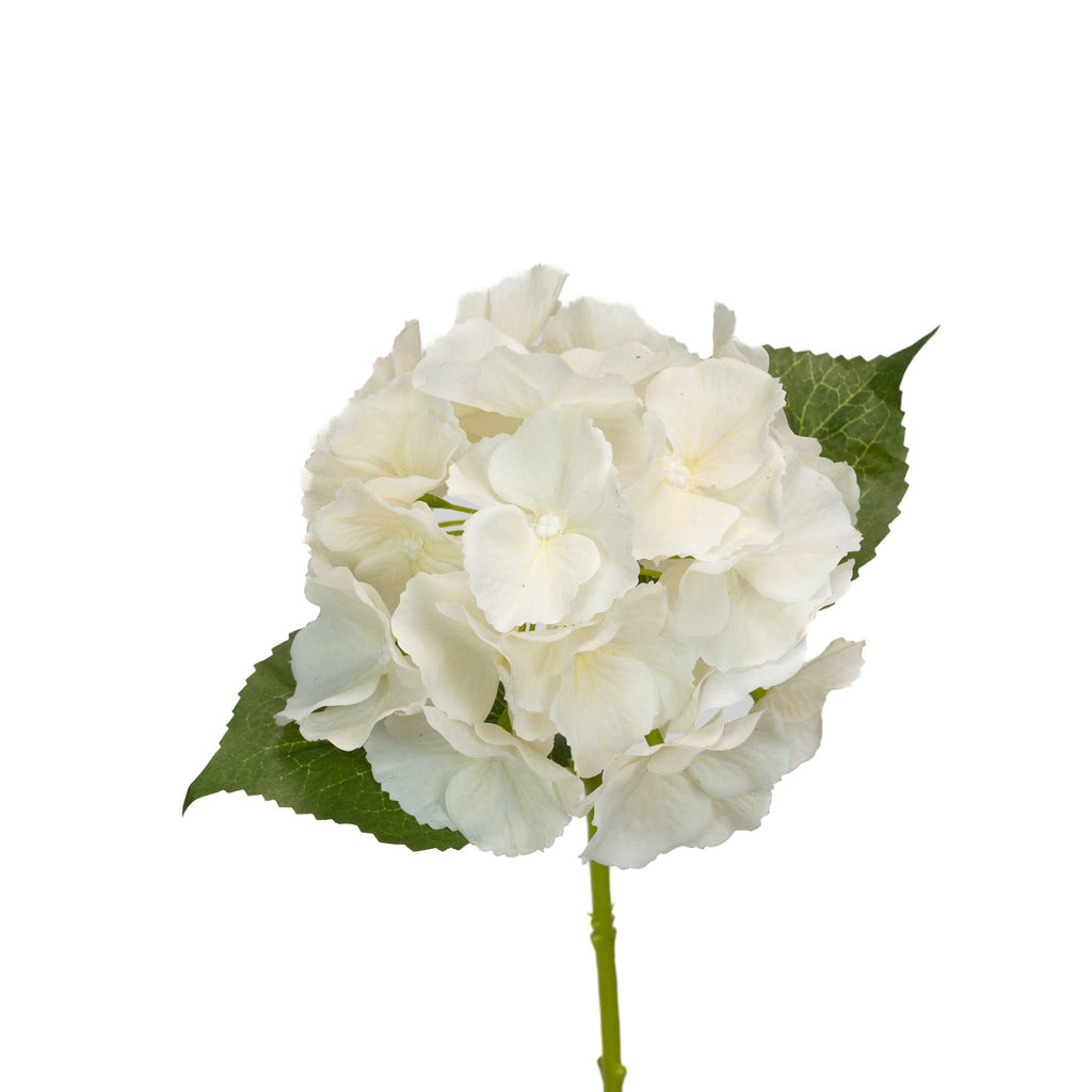 Ivory Real Touch Hydrangea Stem