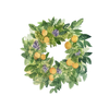 Summer Citrus Wreath- Door Hanger