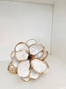 Oyster Shell Magnolia