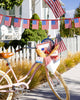 Gingham Flag Paper Plates