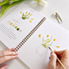 emily lex studio - Spring watercolor workbook