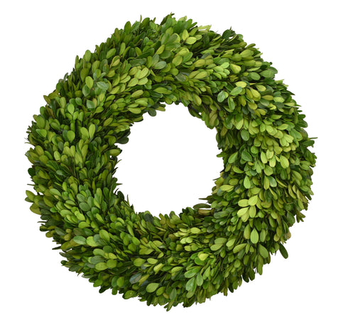 Preserved Boxwood Wreath - 16 Inch