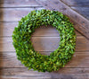 Preserved Boxwood Country Manor Wreath - Round - 20 Inch