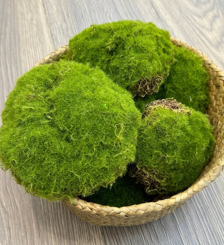 Faux Moss Decor