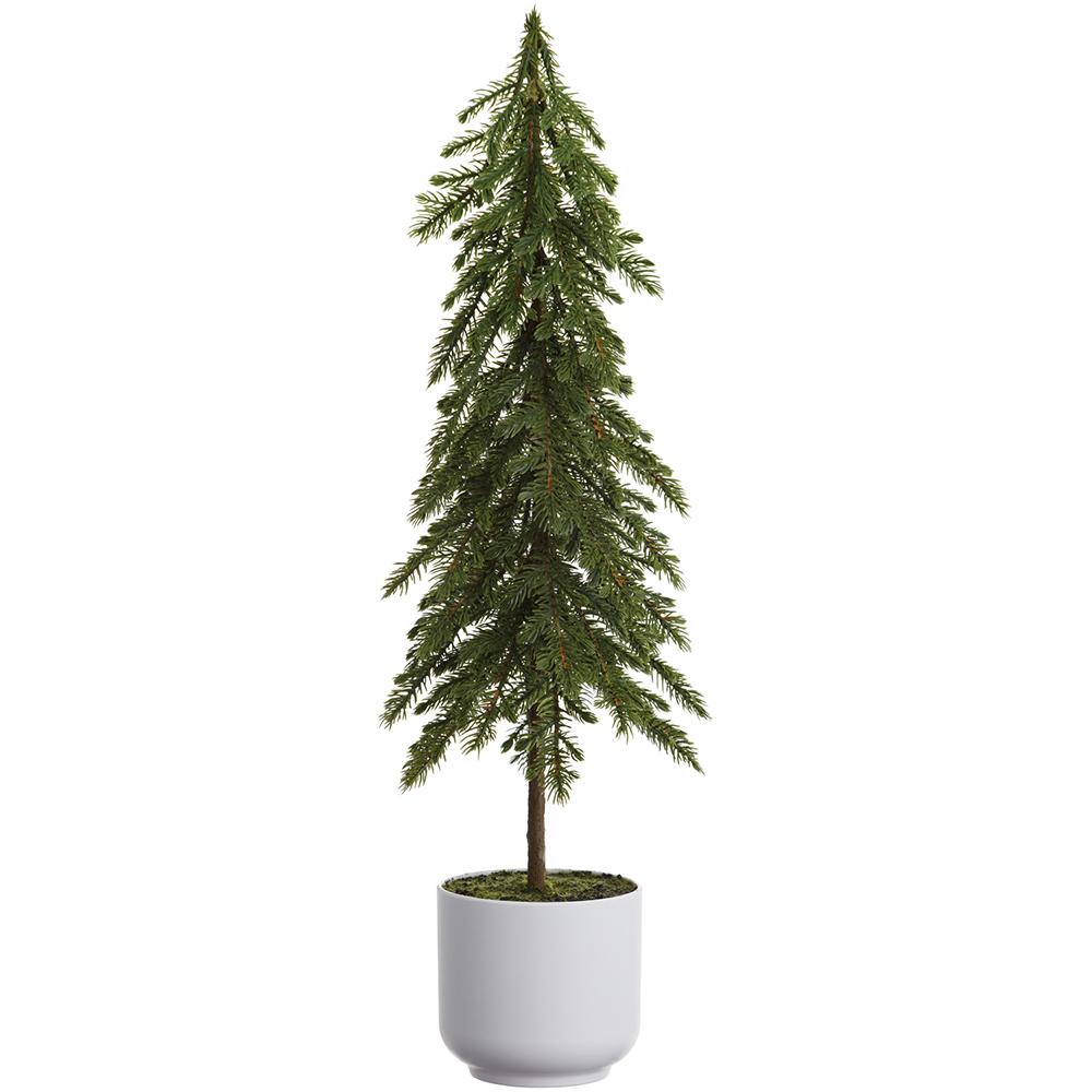 Potted Pine Tree