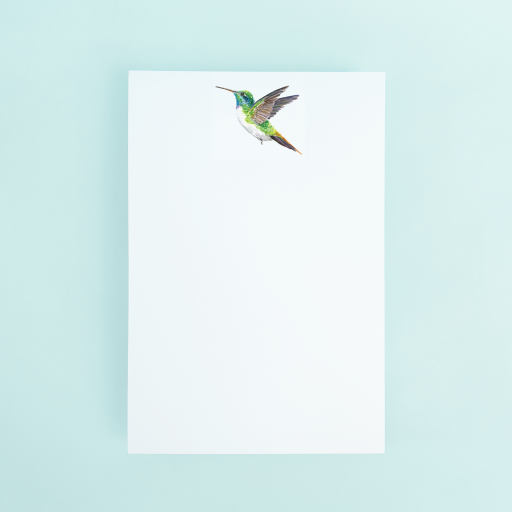 Hummingbird Notepad