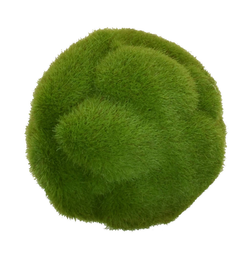 Faux Mood Moss Ball - 5.5 Inch