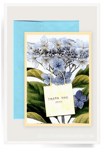 Thank You Hydrangea Greeting Card