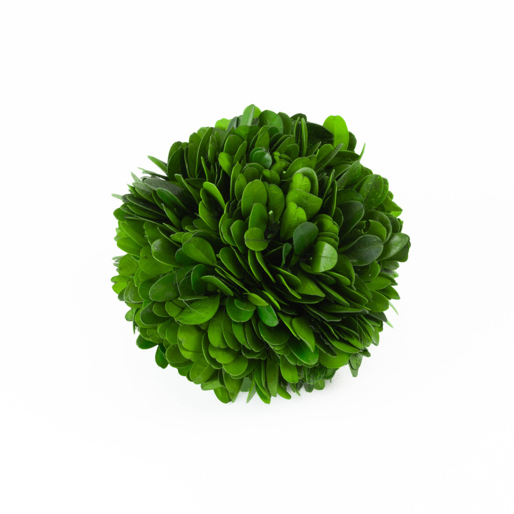 Preserved Boxwood Ball - 4 Inch