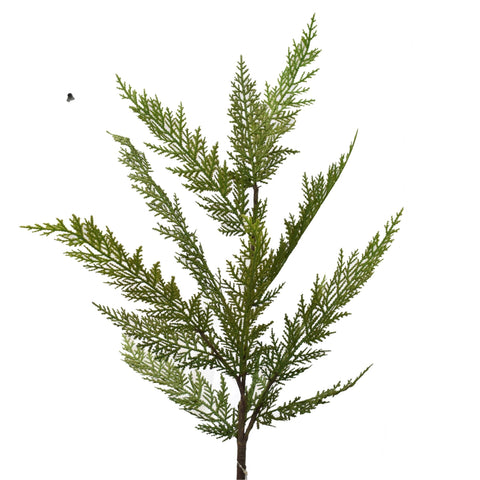 Fresh Touch Lebanon Cedar Spray 36’’