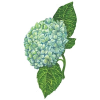 Hydrangea Table Accent Card
