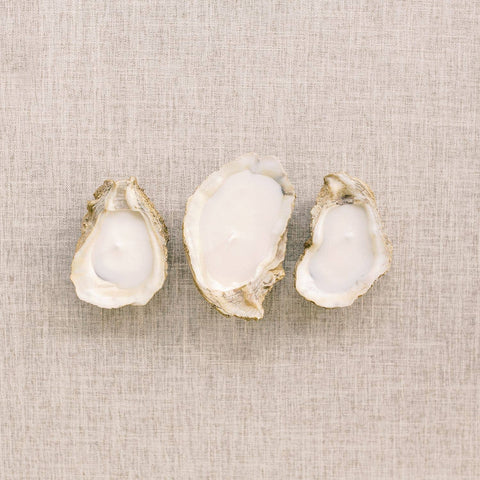 Oyster Shell Candle