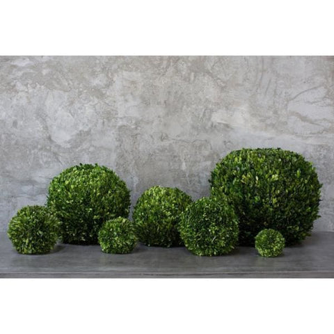 Boxwood Ball