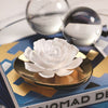 Dream Porcelain Flower Diffuser