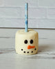 Chocolate Covered Marshmallow Snowman Pop