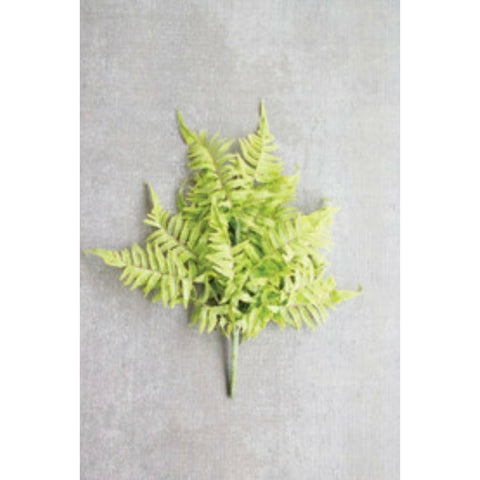 Fern Bundle
