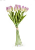 Mini Tulip Bundle