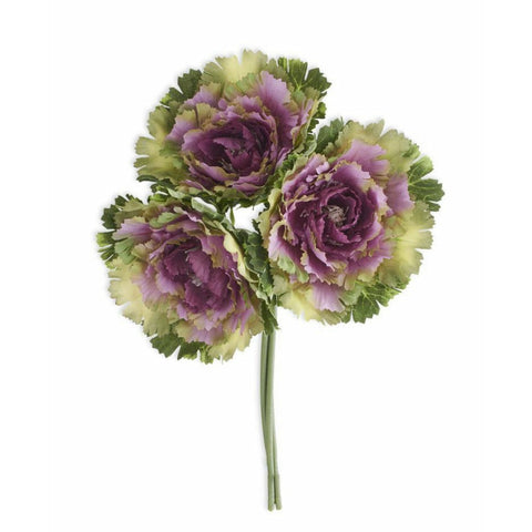 Purple Cabbage Bundle