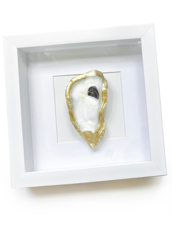 White Oyster Shadow Box