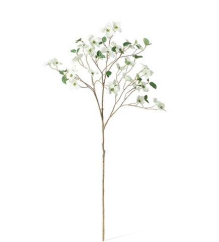 Dogwood Branch