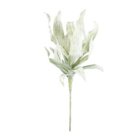 Leaf Botanical Spray