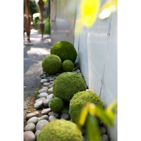 Moss Sphere