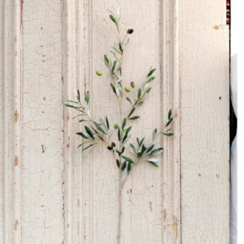 Olive Stem - Greenery